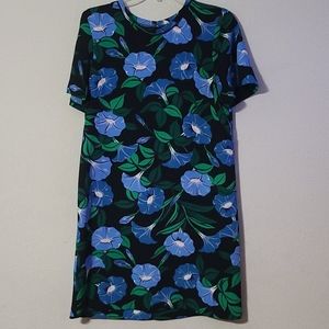Ann Taylor dress